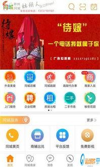 林州爆料新闻网站最新,聚焦民生热点，揭示社会现象